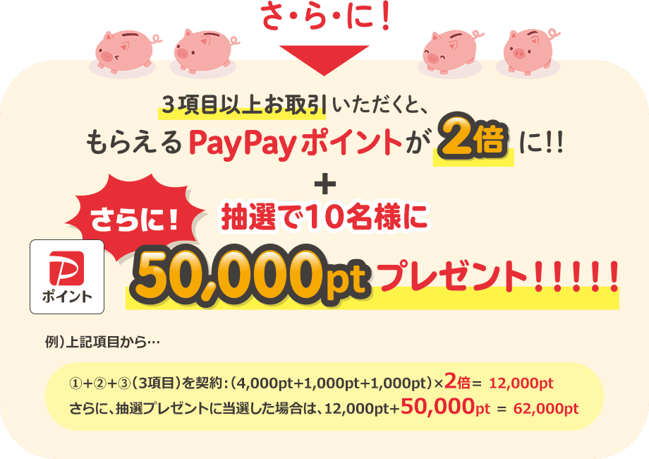 さらに！3項目以上お取引いただくと、もらえるPayPayポイントが2倍に！
