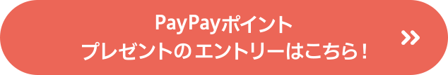 PayPayポイント プレゼントのエントリーはこちら