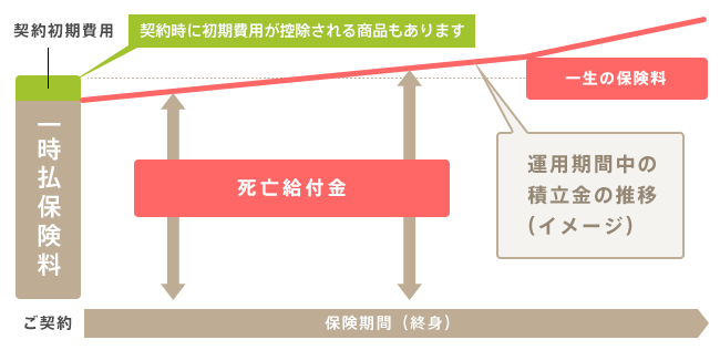 は 終身 保険 と 終身保険とはどのような保険か。終身保険の3つの特徴 │